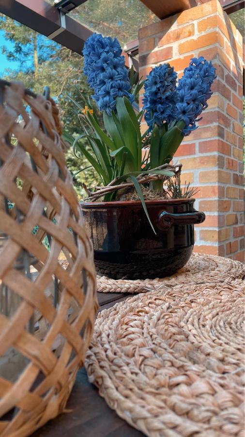 Apartament Weise Im Lausitzer-seenland *