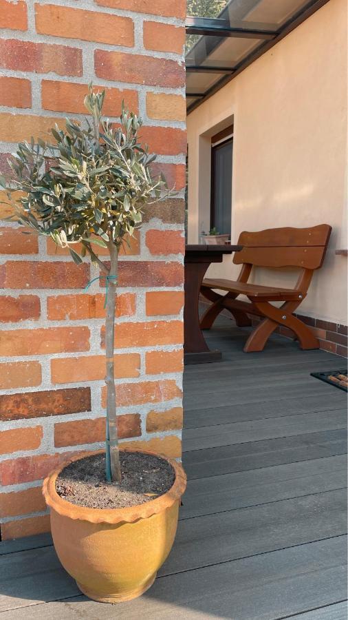 Apartament Weise Im Lausitzer-seenland